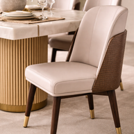 Petrov Modern Dining Chair