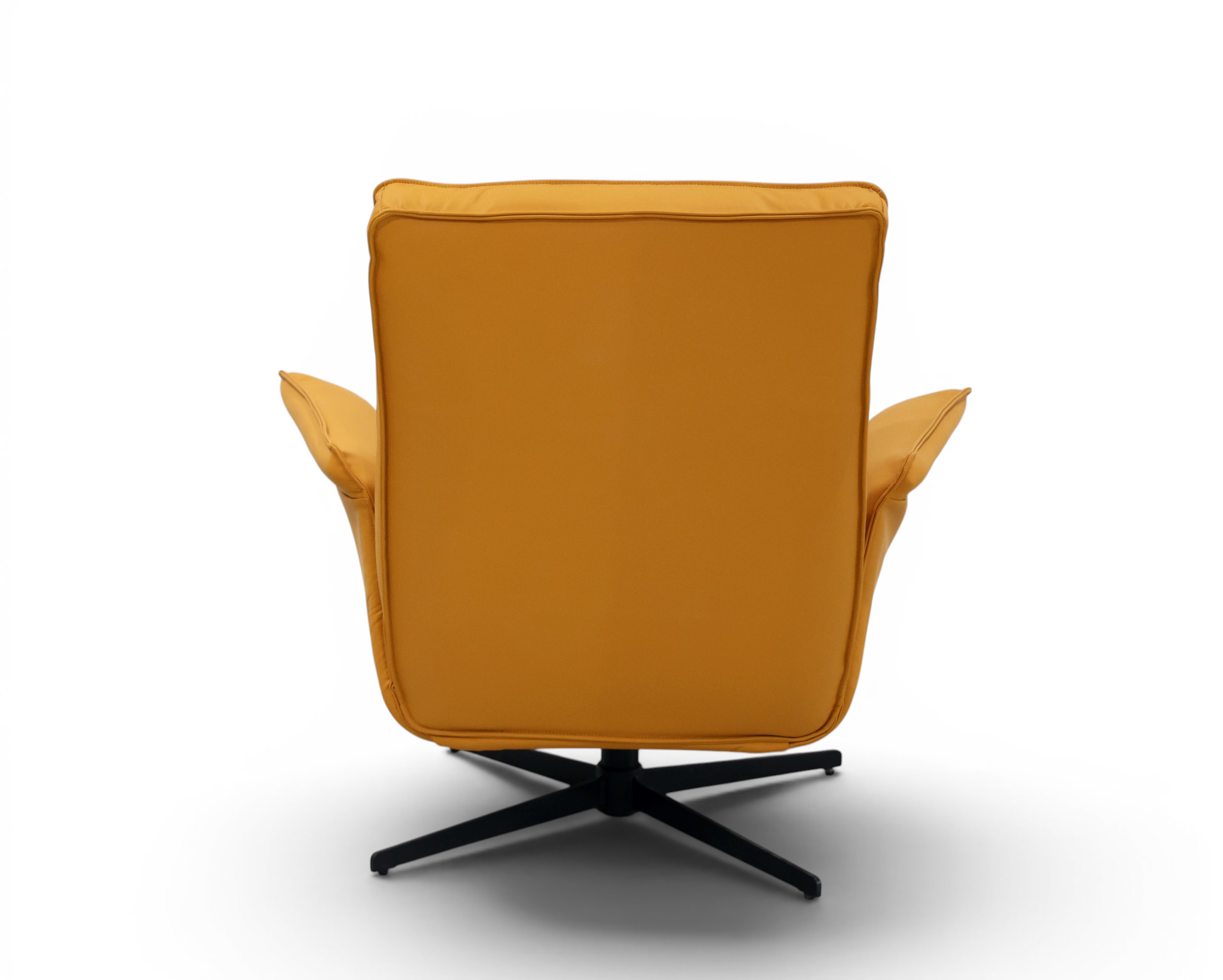 The Horizon Ergonomic Statement Chair