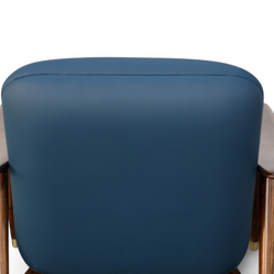 Avelor Luxe Lounge Chair