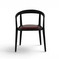 Takumi Premium Dining Chair