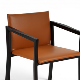 Regal Designer Dining Chair