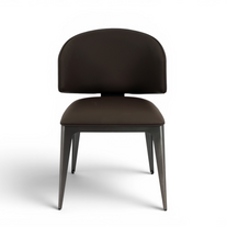 Astra Designer Dining Chair