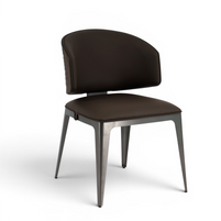Astra Designer Dining Chair