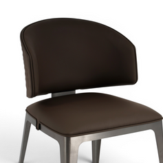 Astra Designer Dining Chair