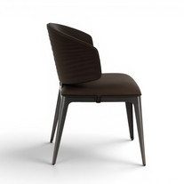 Astra Designer Dining Chair