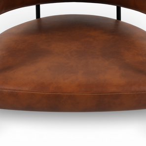 Canyon Leather Accent Chair