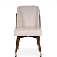 Petrov Modern Dining Chair