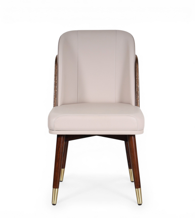Petrov Modern Dining Chair