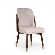 Petrov Modern Dining Chair