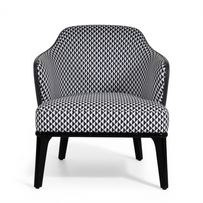 Advik Modern Lounge Chair