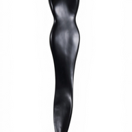 Vistara Shadow Grace Art Piece
