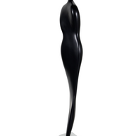 Vistara Shadow Grace Art Piece